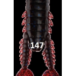 BAIT BREATH  Bugflap Husky 4,0''